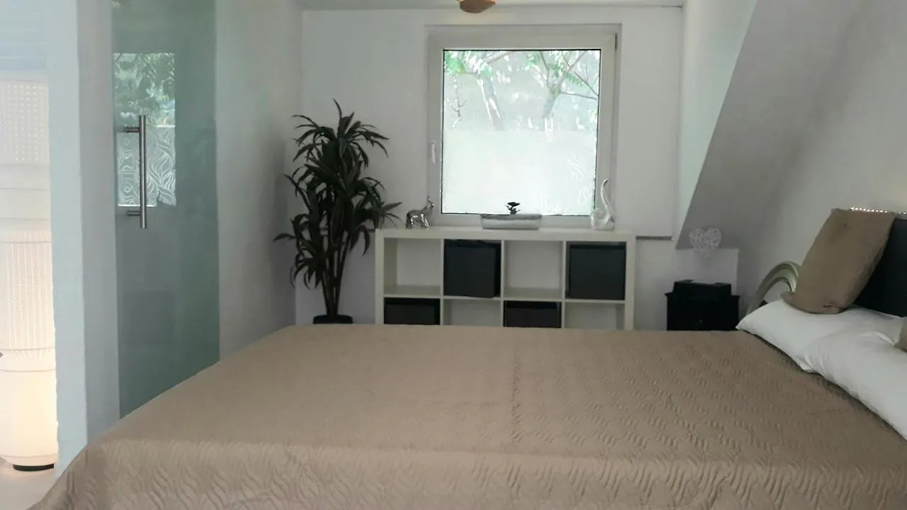 Vila Cologne Private House Německo