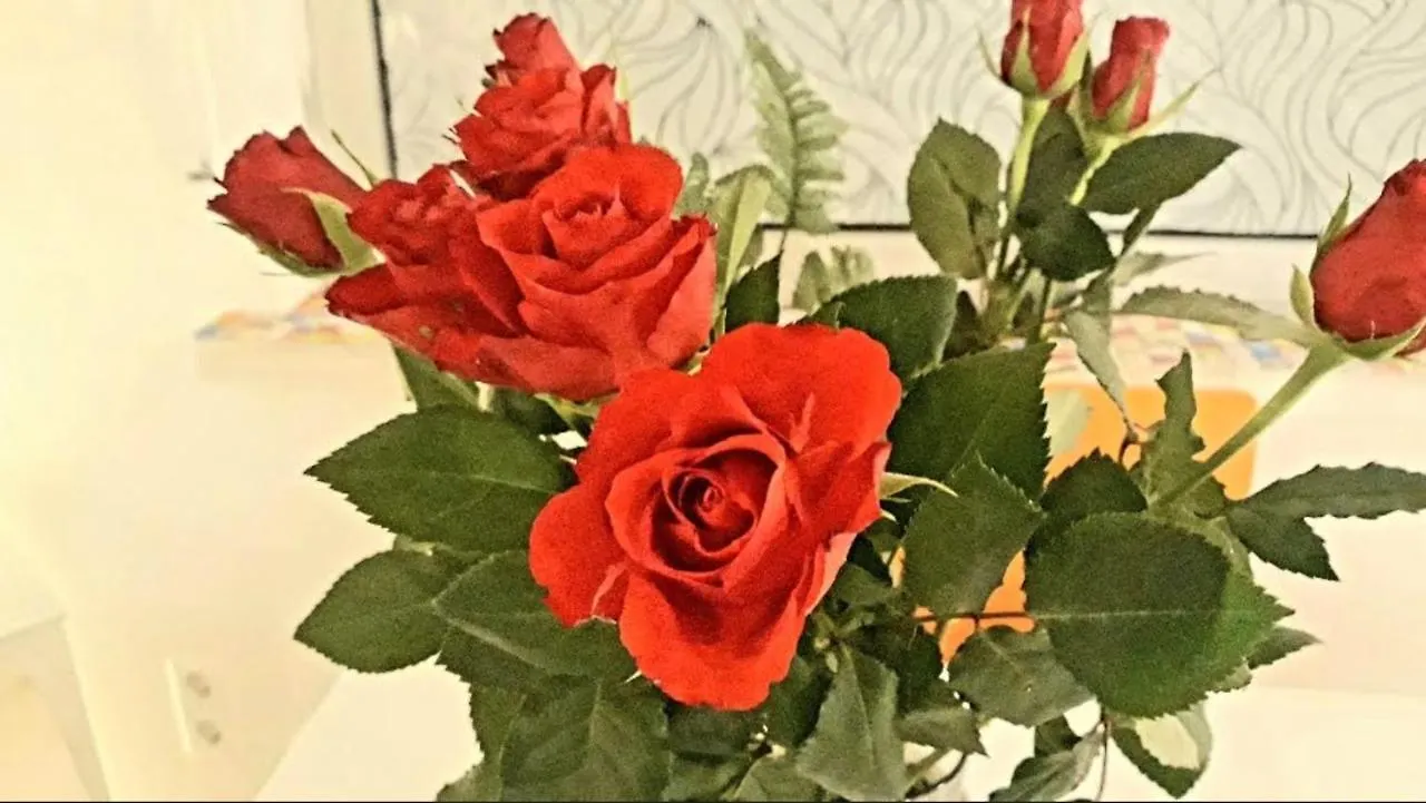 Cologne Private Houseヴィラ